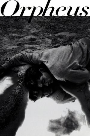 watch Orpheus
