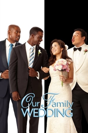 Our Family Wedding watch Our Family Wedding