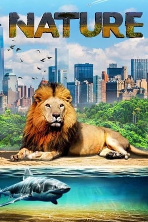 watch Our Nature