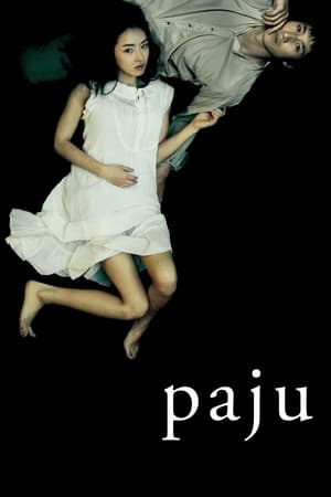 Paju watch Paju