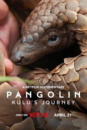 Pangolin: Kulu's Journey watch Pangolin: Kulu's Journey