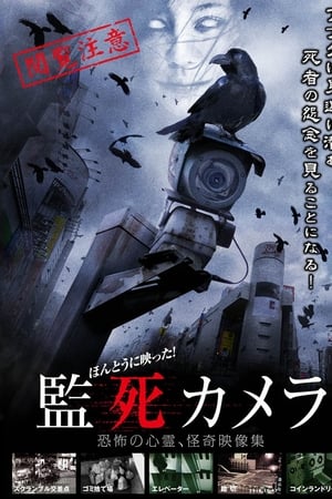 Paranormal Surveillance Camera watch Paranormal Surveillance Camera