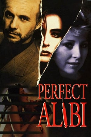 Perfect Alibi watch Perfect Alibi