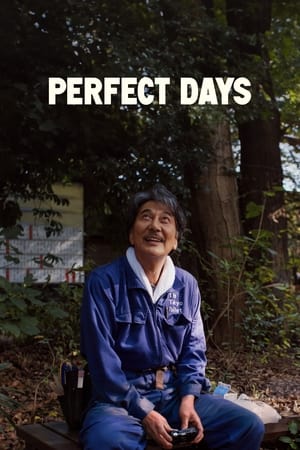 Perfect Days watch Perfect Days
