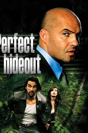 Perfect Hideout watch Perfect Hideout