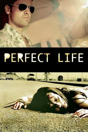 Perfect Life watch Perfect Life