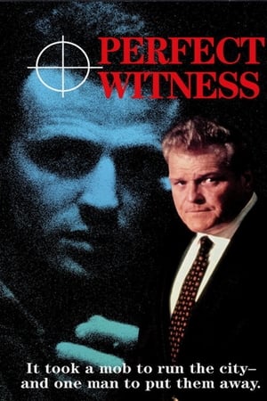 watch Perfect Witness