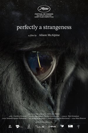 watch Perfectly A Strangeness