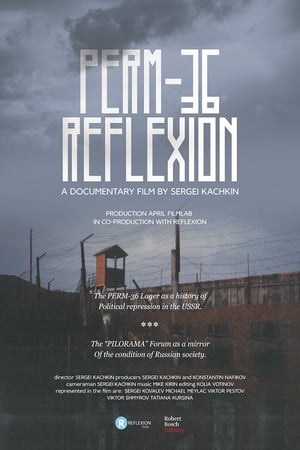 Perm-36. Reflexion watch Perm-36. Reflexion