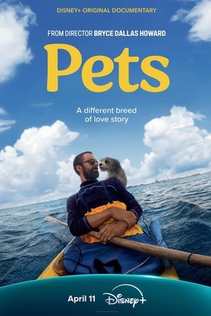 Pets watch Pets
