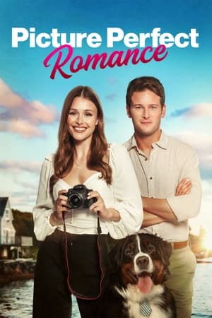 Picture Perfect Romance watch Picture Perfect Romance