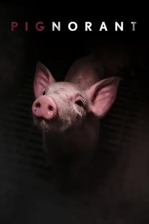 Pignorant watch Pignorant