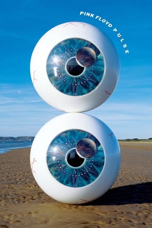 Pink Floyd: Pulse watch Pink Floyd: Pulse