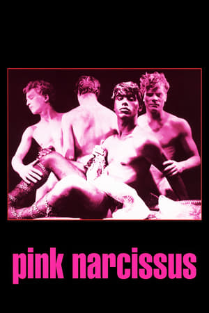 watch Pink Narcissus