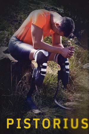 Pistorius watch Pistorius