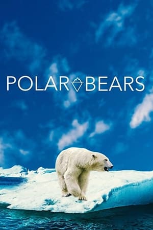 Polar Bears watch Polar Bears