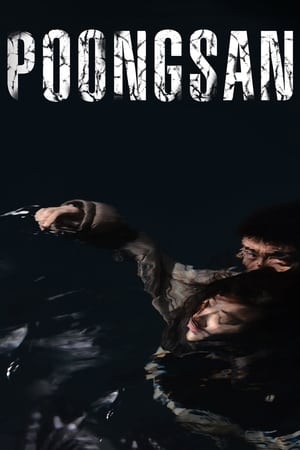 Poongsan watch Poongsan