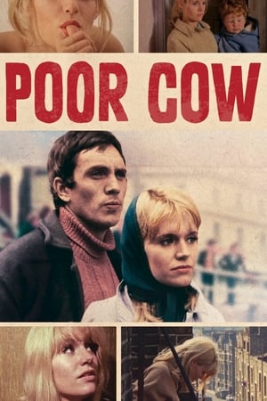 Poor Cow watch Poor Cow
