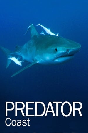 Predator Coast watch Predator Coast