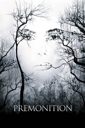 watch Premonition