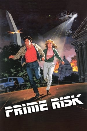 Prime Risk watch Prime Risk