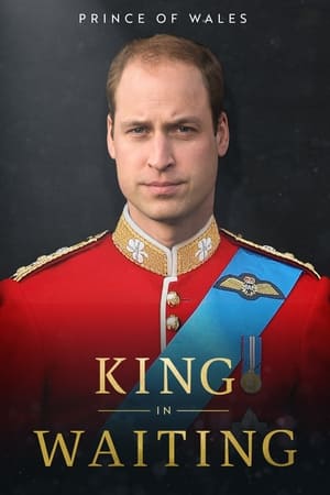 Prince of Wales: King in Waiting watch Prince of Wales: King in Waiting