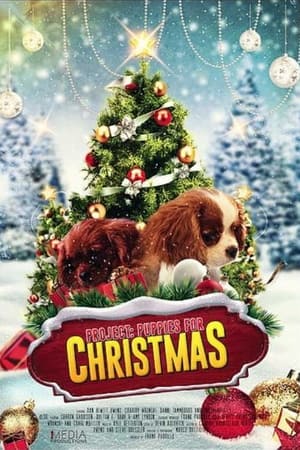 watch Project: Puppies for Christmas