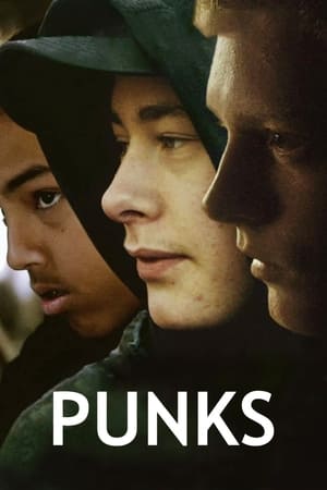 watch Punks