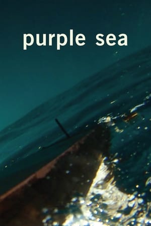 watch Purple Sea