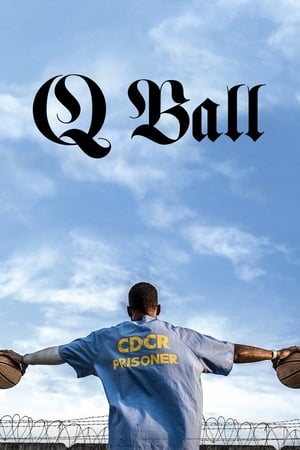 Q Ball watch Q Ball