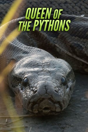 Queen of the Pythons watch Queen of the Pythons