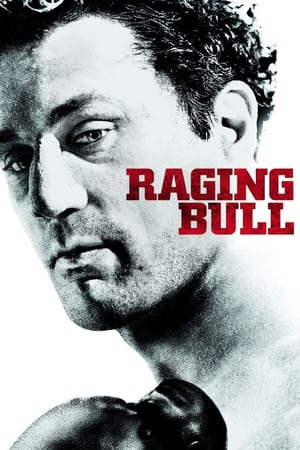 Raging Bull watch Raging Bull