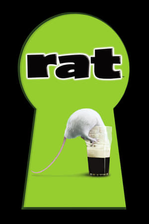 watch Rat