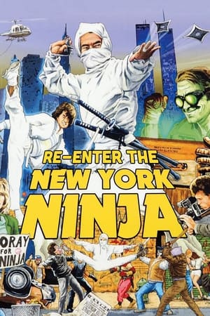 Re-Enter the New York Ninja watch Re-Enter the New York Ninja