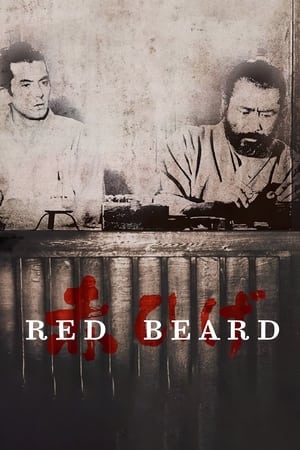Red Beard watch Red Beard