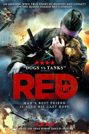 Red Dog watch Red Dog