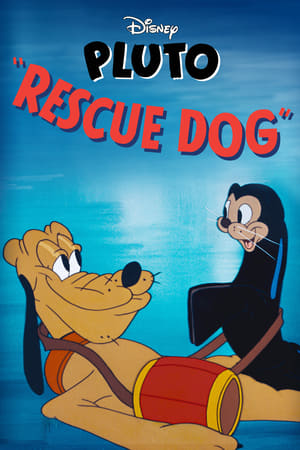 Rescue Dog watch Rescue Dog