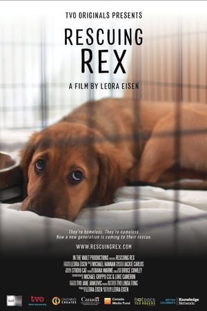 Rescuing Rex watch Rescuing Rex