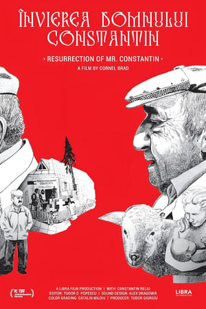 watch Resurrection of Mr. Constantin