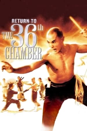 Return to the 36th Chamber watch Return to the 36th Chamber