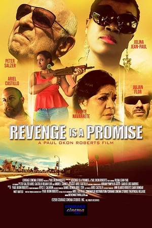 Revenge is a Promise watch Revenge is a Promise