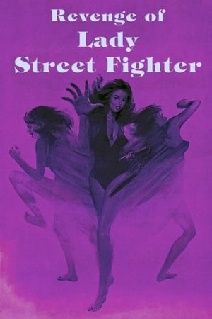 watch Revenge of Lady Street Fighter