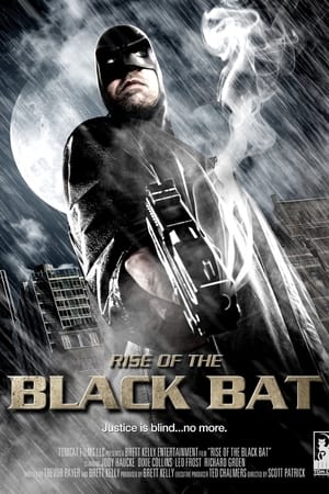 watch Rise of the Black Bat