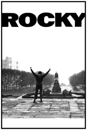 Rocky watch Rocky