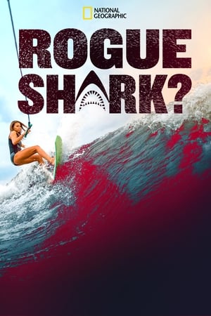 Rogue Shark watch Rogue Shark
