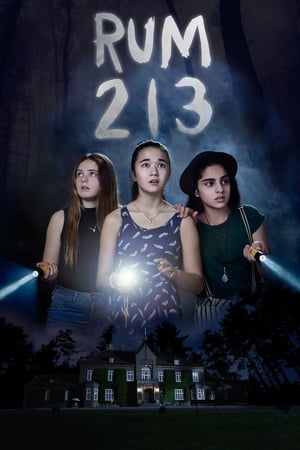 Room 213 watch Room 213