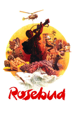 Rosebud watch Rosebud