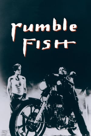 Rumble Fish watch Rumble Fish