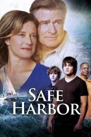 Safe Harbor watch Safe Harbor
