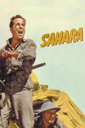 Sahara watch Sahara